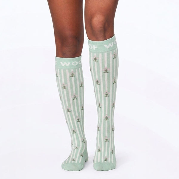 //vn.drwoofapparel.com/cdn/shopifycloud/storefront/assets/no-image-2048-a2addb12_grande.gif